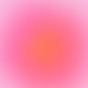 Meet your Posher, Charlotte